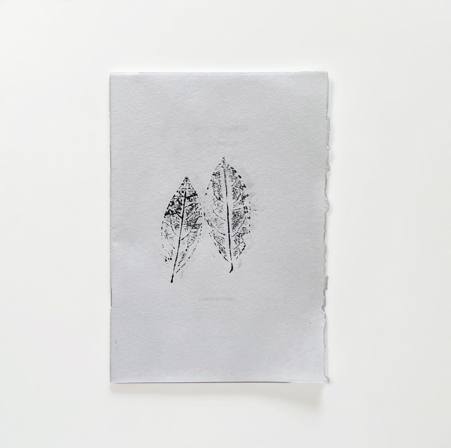CATALOG XII: Dante Studies