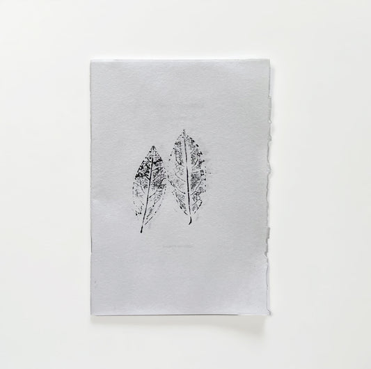 CATALOG XII: Dante Studies